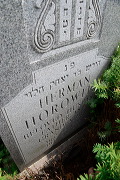 _dsc0556