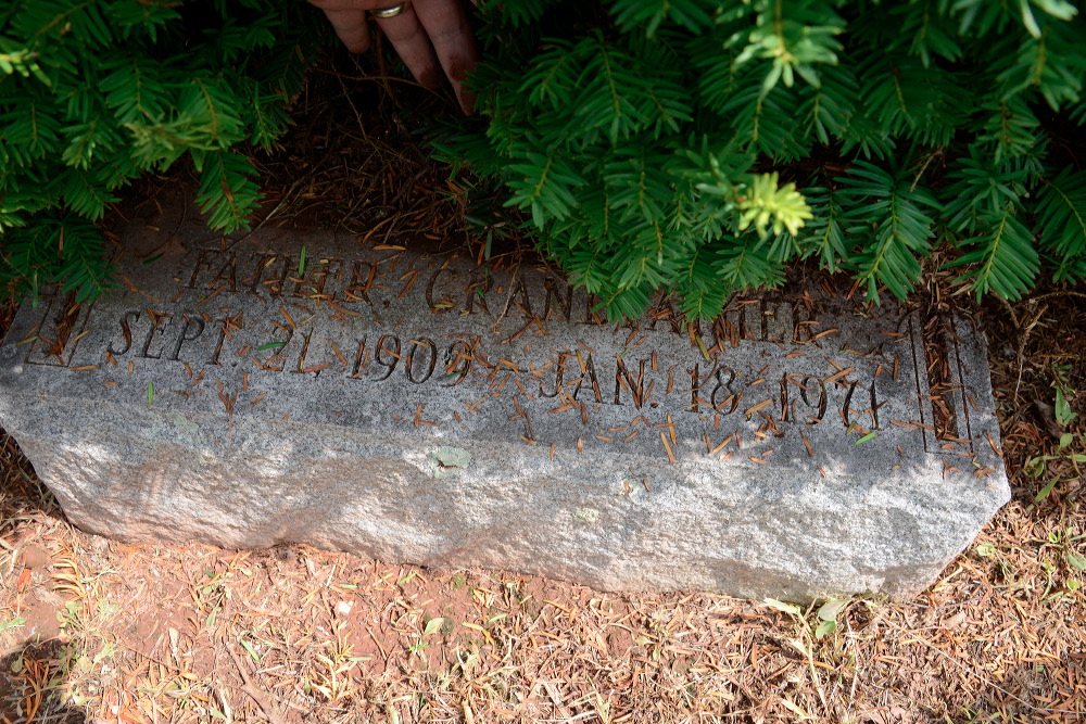 _dsc0558.jpg